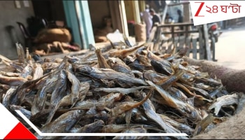 Fire in Sutki Fish Godown: ভয়াবহ অগ্নিকাণ্ড! পুড়ে ছাই হয়ে গেল শুঁটকি মাছের গোডাউন, 'ভস্মীভূত' লক্ষ লক্ষ টাকা...