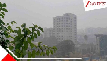 West Bengal Weather Update: সপ্তাহের শেষে বাড়বে শীতের দাপট, তাপমাত্রা একলাফে নামবে অনেকটাই