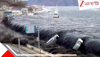Tsunami Warning in Japan: বিশাল ৯৮ ফুটের সুনামি, ২ লাখ মানুষের প্রাণহানির আশঙ্কা, ভয়ংকর মেগা কম্পনের সতর্কবার্তা জারি জাপানে