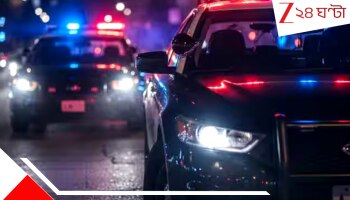 Johannesburd shooting: গাড়ি থেকে নেমেই নির্বিচার গুলি-লুঠপাট, ১২ বন্দুকবাজের তাণ্ডবে মৃত ৯