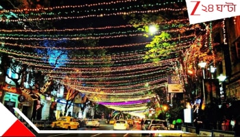 Best Bakeries in Kolkata: ক্রিসমাস এলেই দিল 'নাহুম নাহুম' করে? উঁহু! শুধু 'নাহুম' কেন, কলকাতায় তো কেকের অপার ঐশ্বর্য...