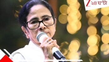 Mamata Banerjee: 'অগণতান্ত্রিক তাণ্ডব'! SIR-এ বিস্ফোরক মুখ্যমন্ত্রী, ফের চিঠি মুখ্য নির্বাচন আধিকারিককে...