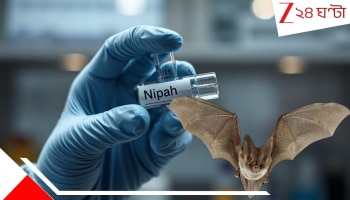 Nipah outbreak in Bengal: নিপা আউটব্রেক? এবার কোমর বেঁধে বাদুড়ের খোঁজে রাজ্য, চালু কোয়ারেন্টিনও! কোথায়? বাদুড়ের মূত্র-রক্তেই রহস্য...