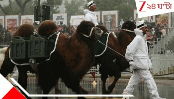 Bactrian Camels Galwan And Nubra: -৩০°তেও অবিচল, ১৫০০০ ফুটে বরফ খেয়েও ২৫০ কেজি টানে গালওয়ান-নুবরা, সেনার সার্ভিসে দু'কুঁজের উট 