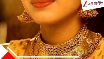 Gold Price: বাজেটের আগে ফের সোনা-রুপোর দরে বিশাল পতন, হলুদ ধাতুর দামে কেন এমন পাগলামি!