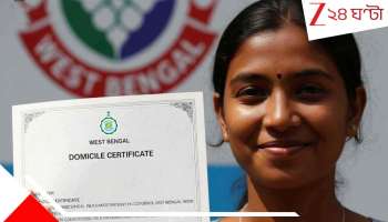 SIR in Bengal: ডোমিসাইল ডামাডোল! ভোটার তালিকায় বড়সড় ছাঁটাইয়ের পথে কমিশন...
