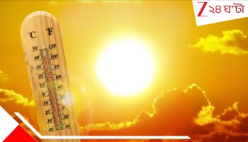 Bengal Weather: অস্বস্তি চরমে উঠবে, শীর্ষে আর্দ্রতা, ফিল লাইক টেম্পারেচার; অগ্নিকুণ্ড ভোটবাংলায় স্বস্তির বৃষ্টি কবে?