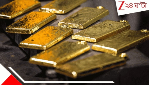 Largest Undersea Gold Deposit: সমুদ্রের গর্ভে বিরল গুপ্তধন! লুকিয়ে ৩৯০০ টন সোনা! ১৪১ কোটির দেশ এবার…