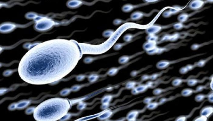 Banyoda jinsiy aloqa video Kozlari boglangan va boshqasini ornatgan