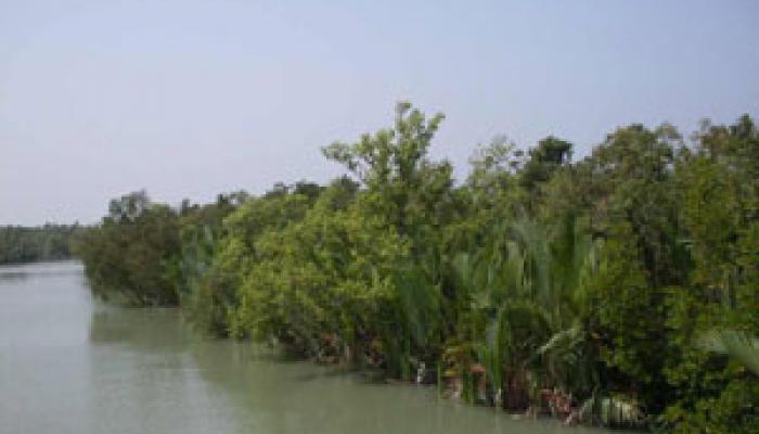 বাঁধ সারাইয়েও তোলাবাজির অভিযোগ তৃণমূলের বিরুদ্ধে