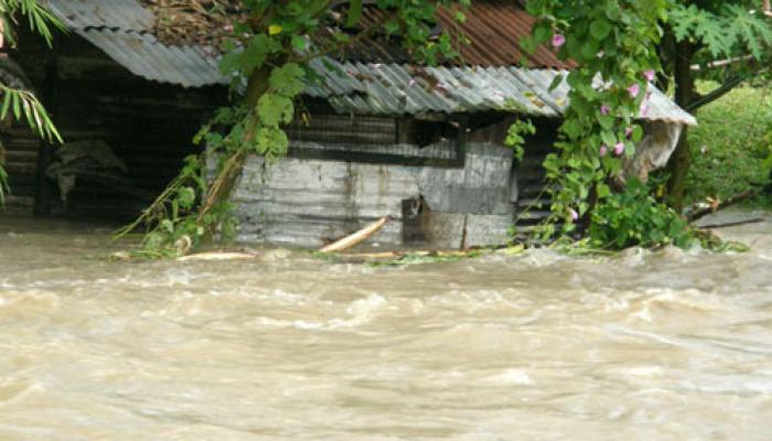 তোর্ষার ভাঙনে ভয়াবহ বিপদের মুখে কোচবিহার 