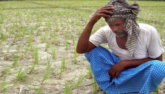 বন্ধ একশো দিনের কাজ, তাই কাজের খোঁজে ভীনরাজ্যে পাড়ি দিচ্ছেন পুরুলিয়া চাষিরা 