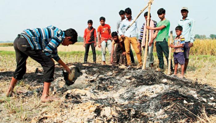 পাড়ুইয়ে উদ্ধার বোমা, বেলদায় আক্রান্ত বিজেপি