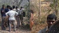 অন্ধ্রপ্রদেশে ২০ জন চন্দনকাঠ পাচারকারীর মৃত্যুর পুলিসি রিপোর্ট চাইল জাতীয় মানবাধিকার কমিশন