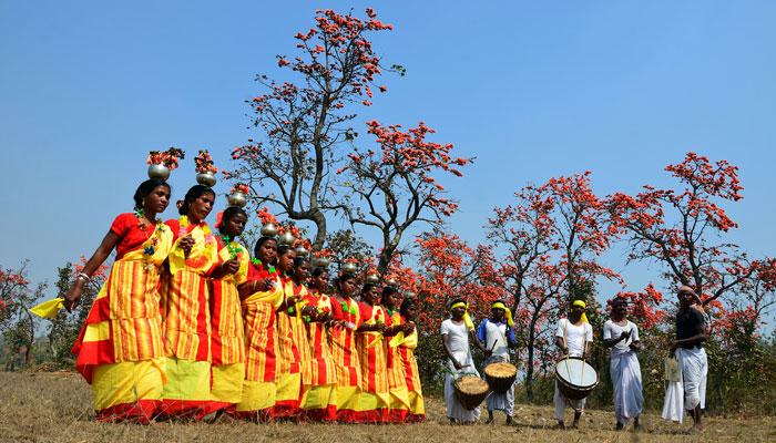 মহুয়ার নেশা, ধামসা, মাদলে বাহা উত্সবে মাতল বাঁকুড়া 