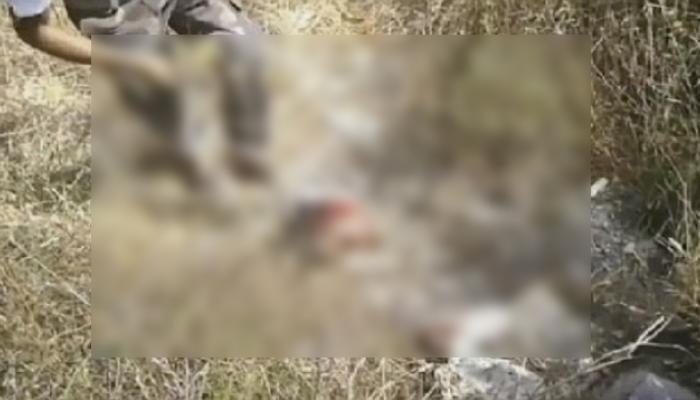 কাটামুণ্ড নিয়ে আতঙ্ক ছড়াল  বেলপাহাড়ির কেন্দাপাড়ায়