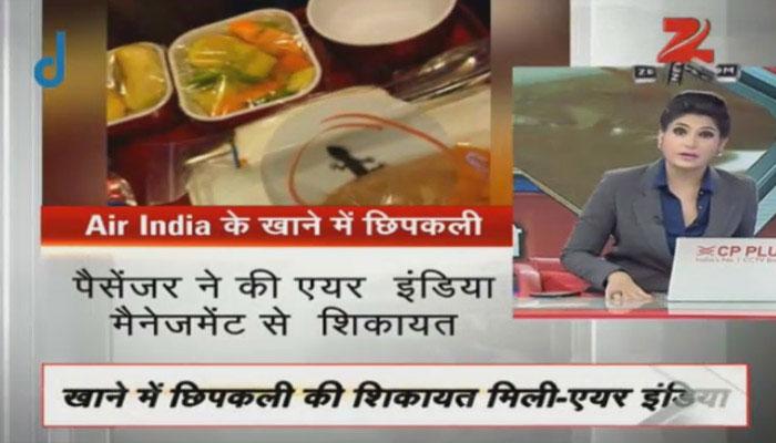 এয়ার ইন্ডিয়ার বিমানে খাবারের ট্রে-তে পরিবেশন করা হল টিকটিকি! অভিযোগ অস্বীকার কর্তৃপক্ষের 