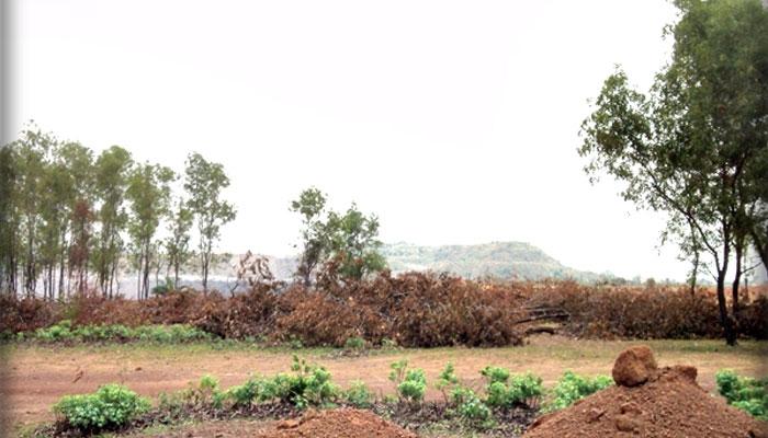 নদী দখল করে আসানসোলে বাড়ি তৈরির দাদাগিরি জমি মাফিয়া, প্রোমোটারদের