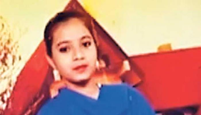 ইশরাত জাহান আত্মঘাতি লস্কর জঙ্গি, সাক্ষ্যদান পর্ব বিস্ফোরক হেডলি