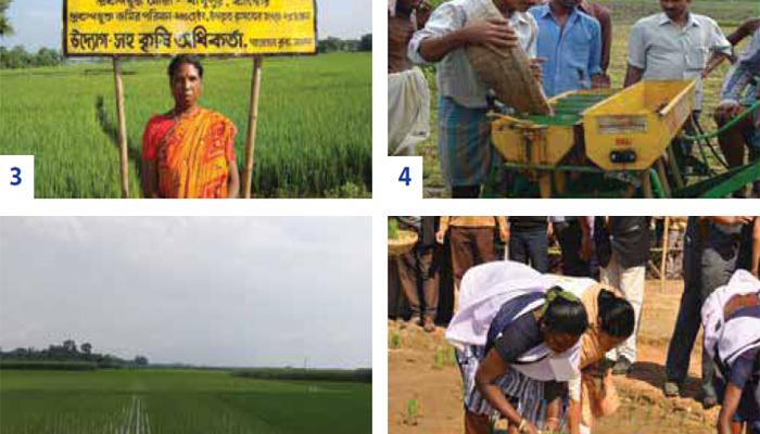 সরকারের হাত ধরে কৃষিতে রাজ্যের অগ্রগতি