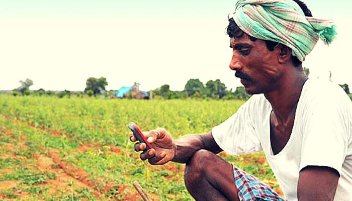 খামখেয়ালি আবহাওয়ায় মাথায় হাত চাষীদের