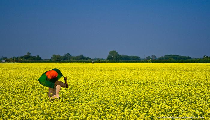 বাংলাদেশে ঘুরতে যাওয়ার লোক নেই