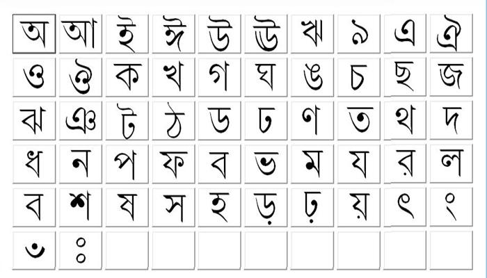 শুধু বাংলাদেশ নয়, এই আফ্রিকান দেশের সরকারি ভাষাও বাংলা!