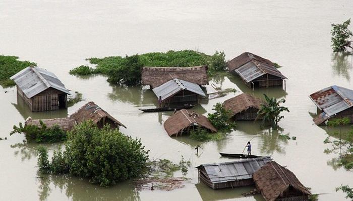 উত্তরবঙ্গ ও অসমে টানা বৃষ্টি; বন্যা পরিস্থিতির অবনতি