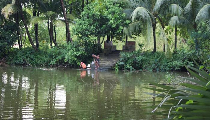 সূর্য উঠলেই শরীর জ্বলে তাই জীবনের স্বাদ খুঁজে পেয়েছেন সূর্য এড়ানো পুকুরের জলভেজা মগ্নতায়!