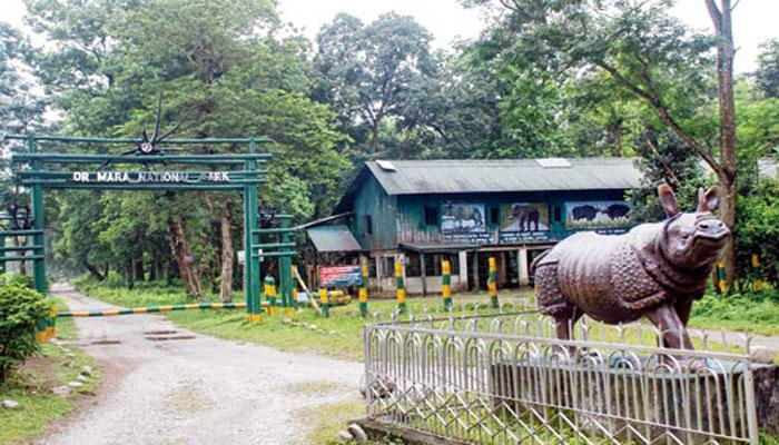 পুজোর আগে খুলে গেল গরুমারা অভয় অরণ্য