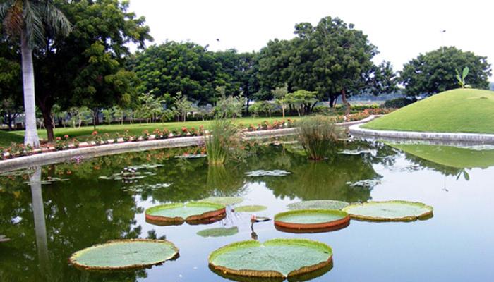  ছটপুজোর দিন রবীন্দ্র সরোবরে ফুল, বেলপাতা ও অন্যান্য পুজোর সামগ্রী ফেলা যাবে না : নির্দেশ গ্রিন বেঞ্চের
