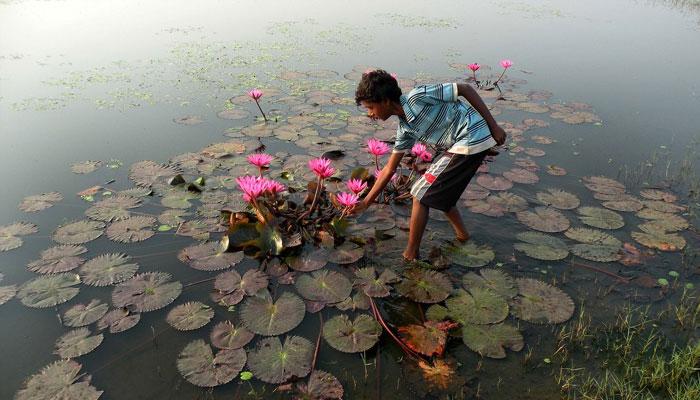 শীত আসতে দেরি নেই, হুহু করে নামছে তাপমাত্রা 