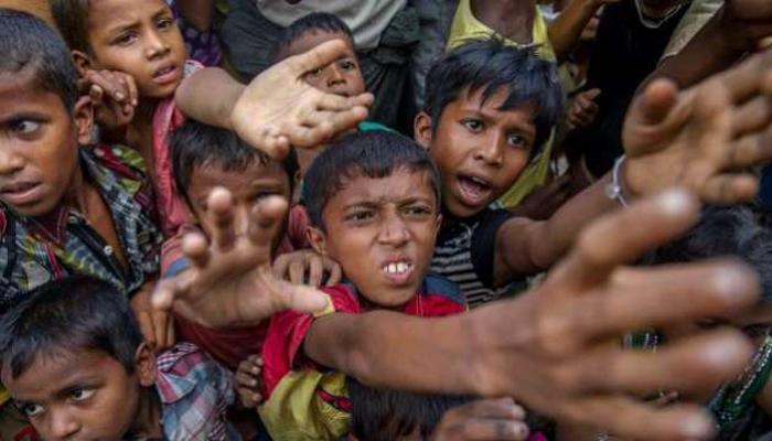 রোহিঙ্গাদের অনুপ্রবেশ রুখতে লঙ্কাগুঁড়ো ব্যবহার করছে বিএসএফ 