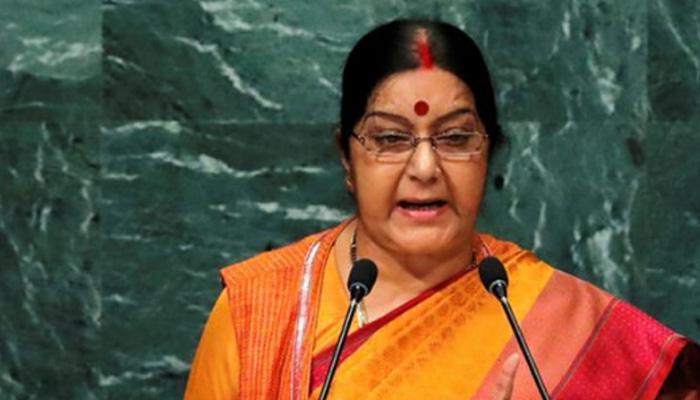 '‍পাকিস্তান সন্ত্রাসবাদীদের কারখানা'‍, রাষ্ট্রপুঞ্জের অধিবেশনে ব্যঙ্গ বিদেশমন্ত্রীর
