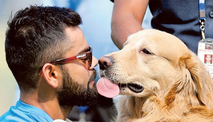  ক্রিকেটারদের জন্য &#039;স্পেশাল পে&#039;-র ব্যবস্থা, বিরাট প্রস্তাবে সায় বিসিসিআইয়ের