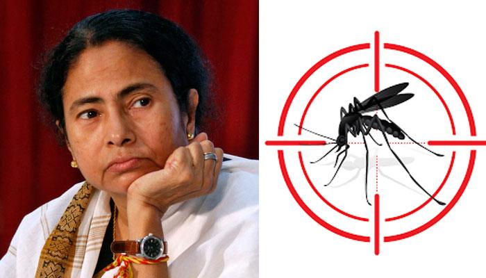 মুখ্যমন্ত্রীর পাড়ায় ডেঙ্গির থাবা, আক্রান্ত গৃহবধূ