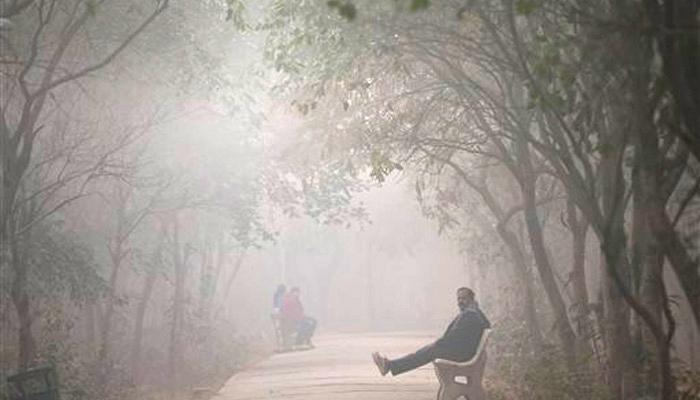 অবশেষে বঙ্গে শীতের &#039;বাইট&#039;, এক লাফে পারদ নামল ৫ ডিগ্রি