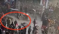 সার্কাসের খাঁচা ভেঙে লাফ দিল বাঘ, প্রাণ হাতে নিয়ে ছুট দর্শকদের, দেখুন ভিডিও