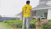 আইপিএলে ফের হলুদ জার্সিতে ফিরছেন মহেন্দ্র সিংহ ধোনি!