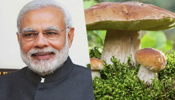 গায়ের রং ফর্সা রাখতে প্রতিদিন ৪ লক্ষ টাকার মাশরুম খান প্রধানমন্ত্রী, দাবি অল্পেশের 