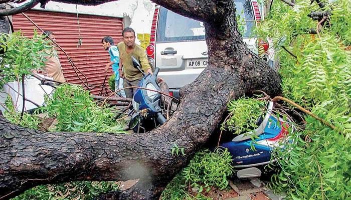 প্রবল ধুলোঝড়ে লণ্ডভণ্ড রাজস্থান, বিধ্বস্ত উত্তরপ্রদেশ,  মৃত শতাধিক 