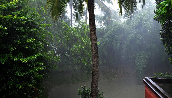 প্রচণ্ড গরমের মধ্যেই ঝমঝমিয়ে নামল বৃষ্টি, আপনার এলাকায় আসছে কখন জেনে নিন