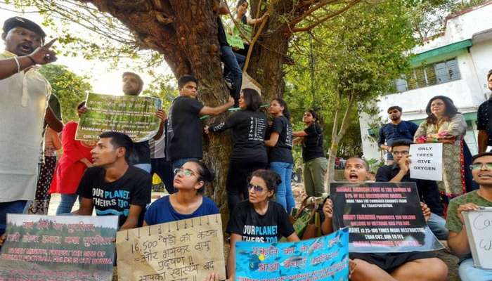 দিল্লিতে ১৪ হাজার গাছ কাটার প্রতিবাদে রাস্তায় নামলেন পরিবেশপ্রেমীরা