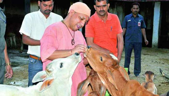 মানুষের মত গরুর জীবনেরও দাম আছে, বললেন যোগী আদিত্যনাথ