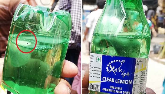 সিল করা ঠান্ডা পানীয়ের বোতলে ভাসছে শ্যাওলা!