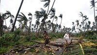 মেয়ের নাম 'তিতলি' রাখার ধুম পড়েছে দেশে