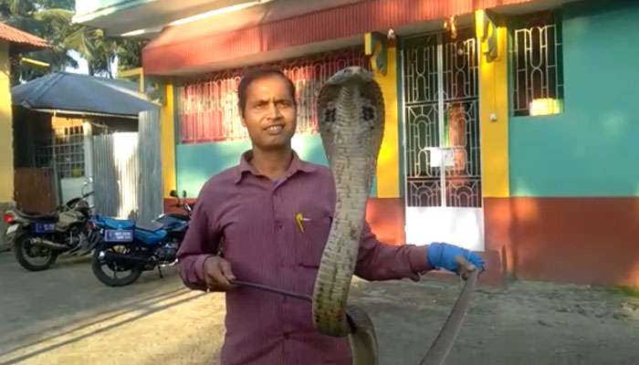  গ্রাম থেকে ১০ টি বিষধর সাপ ঝুলিতে পুড়ে জঙ্গলে ছাড়লেন যুবক!