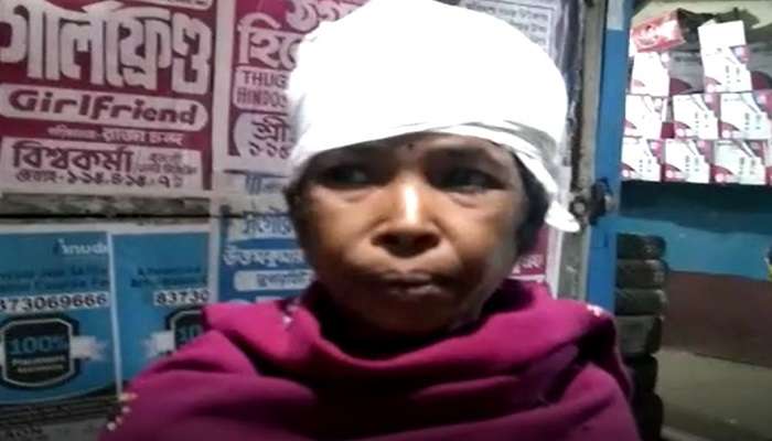 নাতির ভালো চেয়েছিল ঠাকুমা, থান ইট মেরে মাথা ফাটাল ছেলে! 