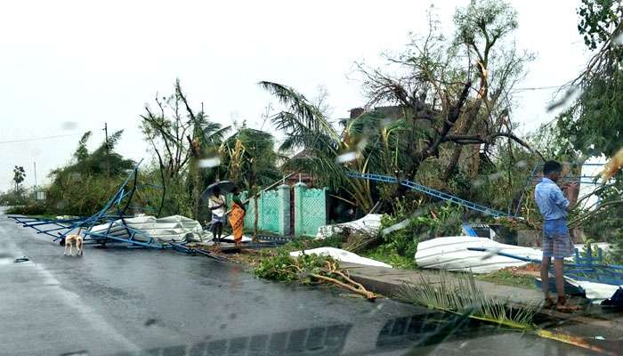 ঘূর্ণিঝড় গাজার দাপটে তছনছ তামিলনাড়ুর ৬ জেলা, মৃত কমপক্ষে ৩০