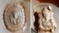 পানাপুকুরের ঝিনুকের মধ্যেই মিলল 'ভগবান'! 
